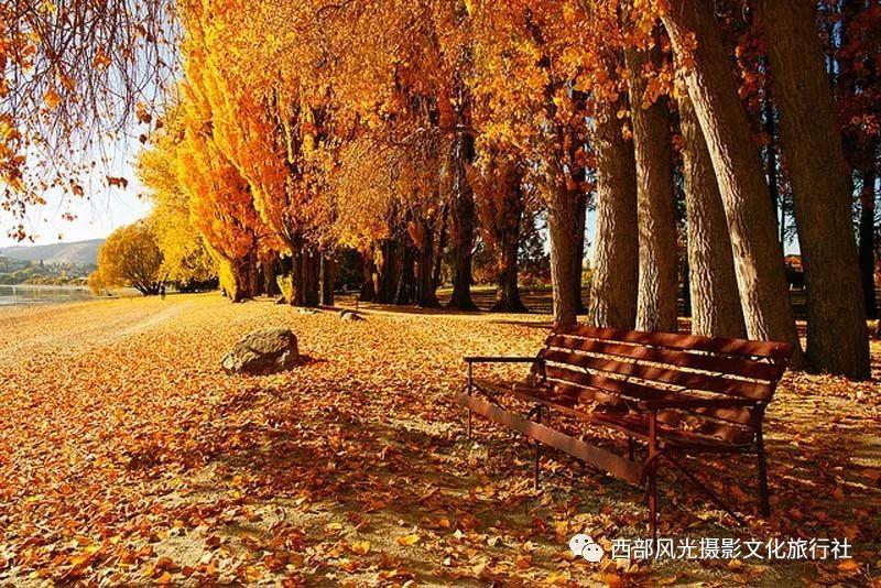 逃出上锁的现代房间4